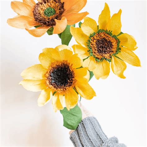 Paper Sunflower Bouquet Workshop Perth | Events | ClassBento