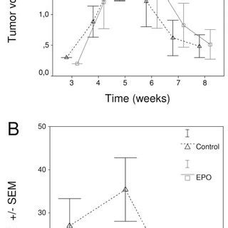 Tumor Volume A And Serum Vascular Endothelial Growth Factor Vegf