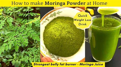 HOW TO MAKE MORINGA POWDER AT HOME STRONGEST BELLY FAT BURNING DRINK