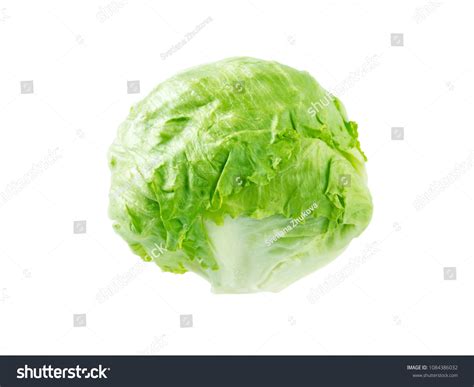 886 Crisphead lettuce Images, Stock Photos & Vectors | Shutterstock