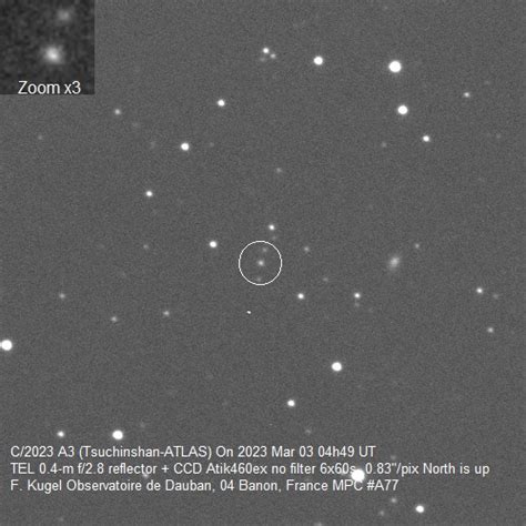 Comet C 2023 A3 Tsuchinshan Atlas British Astronomical Association