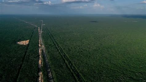 Impacto Ecol Gico Del Tren Maya Datos Reveladores Sobre Su Trayecto