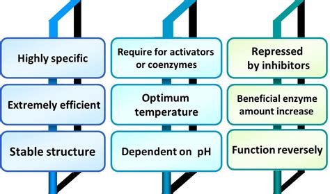 Catalytic Characteristics of Enzymes - Creative Enzymes