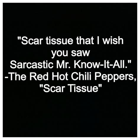 Scar Tissue By The Red Hot Chili Peppers