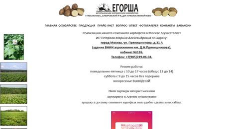 Питомник «КФХ Егорша» в Тульской области 🥔 Питомники.info