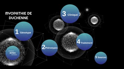 Myopathie Duchenne By Marie Arpin