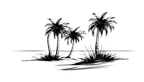 Premium Vector Tropical Coconut Palm Trees Vector Sketch Illustration