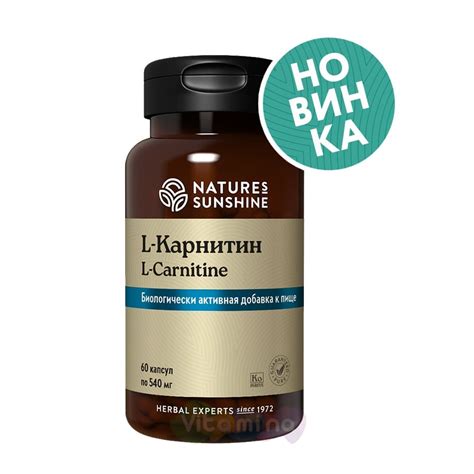 L-карнитин, 60 капс купить в интернет-магазине Vitamina, цена, отзывы