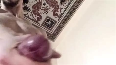 Il Mio Cazzone Di Cm Free Solo Man Porn A XHamster