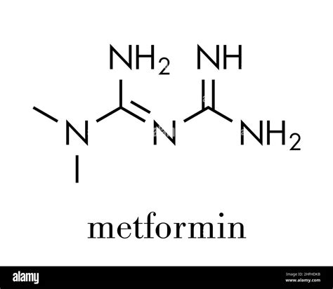 Metformin Diabetes Drug Biguanide Class Molecule Skeletal Formula Stock Vector Image And Art