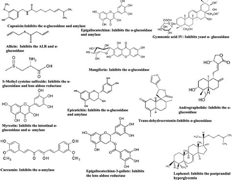 Structures And Activities Of The Enzyme Inhibitors Alr Aldose