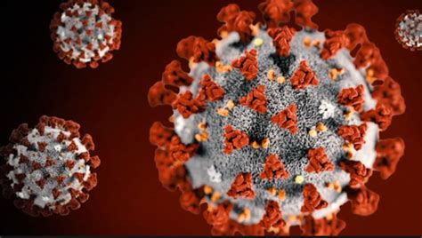 Recent study looks at COVID-19 mutation 