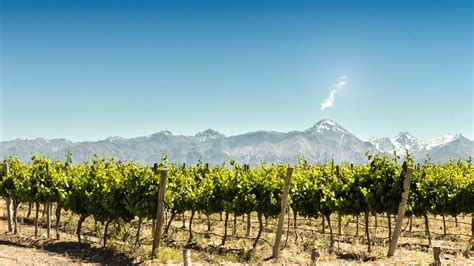 locals guide  chile cn traveller