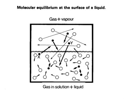 Gases In Anesthesia Solubility Diffusion And Osmosis Flashcards Quizlet