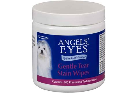 Best Tear Stain Remover For Dogs 6 Products That Actually Work