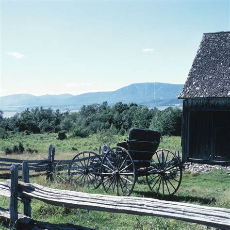 Amish Cultural Beliefs Toward Medicine | Synonym