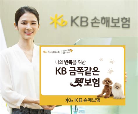 Kb손보 장기펫보험 출시보험료 최대 12 할인 Sbs Biz