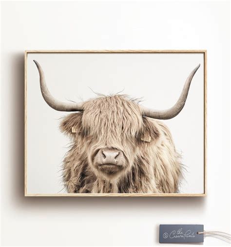 Highland Cow Cow Print Highland Cow Print Buffalo Print Farm House