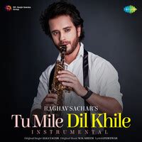 Tu Mile Dil Khile - Instrumental Song|Raghav Sachar|Tu Mile Dil Khile ...