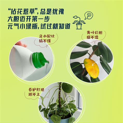 美乐棵免稀释花卉盆栽多肉植物营养液通用型水培观叶植物养花肥料虎窝淘