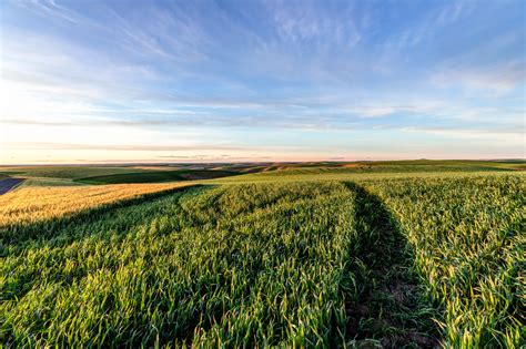 Palouse-Sunset | North Western Images - photos by Andy Porter