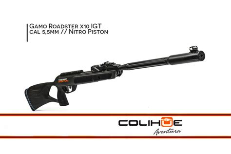 Rifle Nitro Piston Gamo Roadster X Con Cargador Colihue Aventura