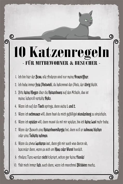 Blechschild 30 x 20 cm Katzen Spruch 10 Katzenregeln für Mitbewohner