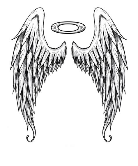 Angel Wings Sketch