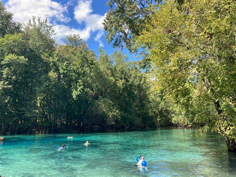 Explore Gilchrist Blue Springs State Park with Kids - Parks Guidance