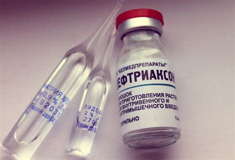 Цефтриаксон для кошек и собак: инструкция по применению, дозировка ...