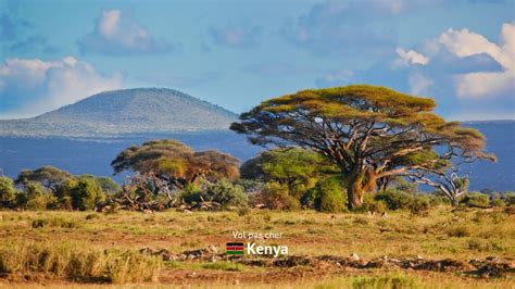 Horaires Vol Ha Ti Kenya Monde Du Voyage