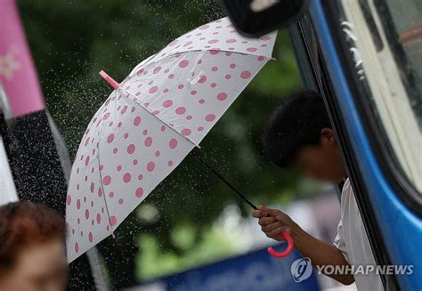 경북북부 시간당 30∼50㎜ 강한 비경북남부 열대야 한국경제