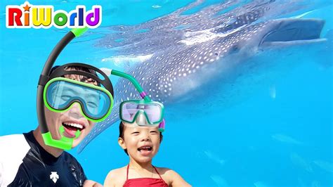 고래상어가 나타났다 리원이의 세부여행 EP 02 RIWORLD Family trip in CEBU EP 02 YouTube