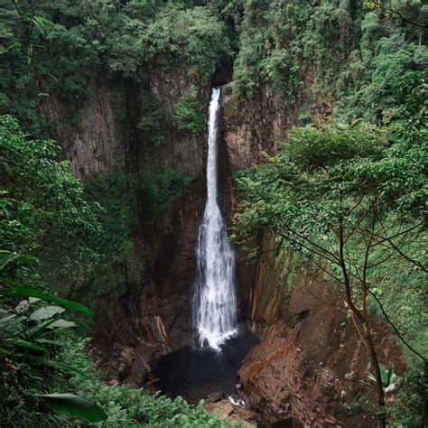 Catarata del Toro Waterfall Guide, Costa Rica