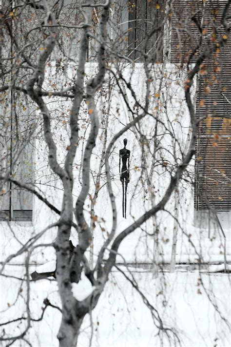 Snow In The Sculpture Garden Moma The Museum Of Modern Art Flickr