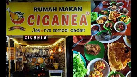 Rumah Makan Sunda Di Purwakarta Konsep Lesehan Persawahan