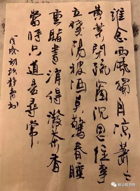 才女徐靜蕾，書法的確不簡單！還原「方正字庫靜蕾體」經過 每日頭條