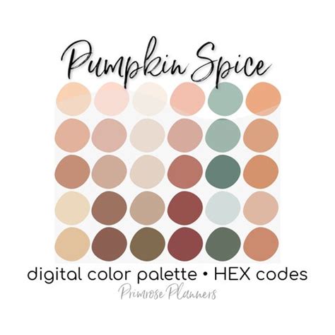 Boho Digital Color Palette Color Chart Goodnotes Tool Etsy