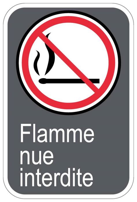 Panneaux Norme Csa Flamme Nue Interdite Signel Services