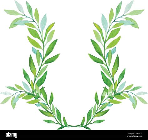 Watercolor Laurel Wreath Isolated On White Background Vector