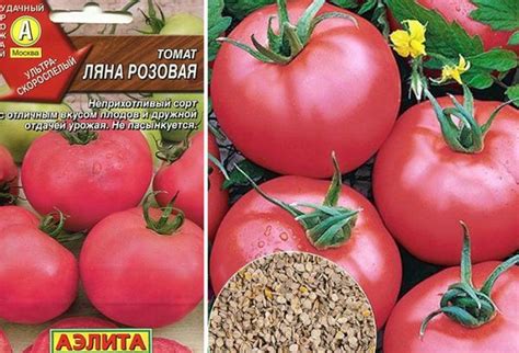 Томат Розовая ляна: характеристика и описание сорта с фото, отзывы о ...