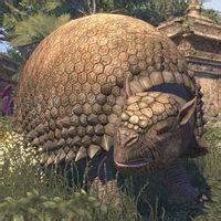 Online:Glyptodon - The Unofficial Elder Scrolls Pages (UESP)