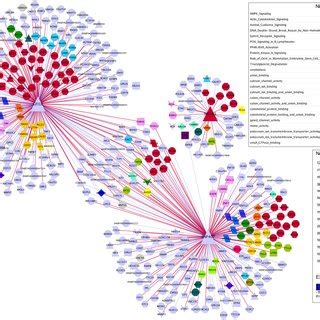 Regulation Of Milk Protein Synthesis In Bovine Mammary Gland The