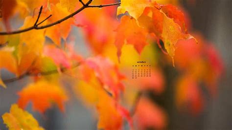 Bộ Sưu Tập October Desktop Backgrounds 2022 Với Nhiều Phong Cách độc đáo