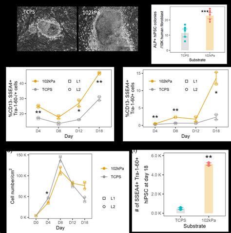 Comparison Of Neonatal Human Dermal Fibroblasts Hdfn Reprogramming On