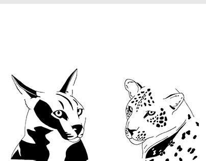 Simplification Projects :: Photos, videos, logos, illustrations and ... 