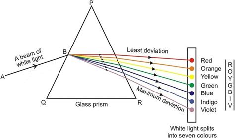 Dispersion Of Light Human Eye And Colourful World Class 10 Science