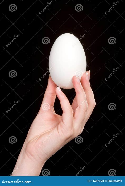 Hands With Egg Stock Photo Image Of Food Success Symbol 11492220