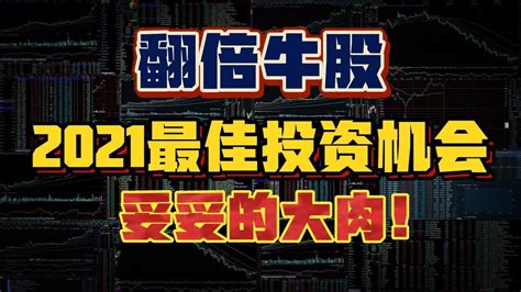 这个板块即将产生翻倍牛股，2021最佳投资机会，妥妥的大肉， Youtube