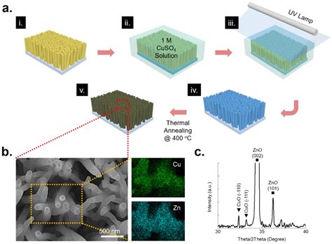 Nanomaterials Free Full Text ZnO CuO M M Ag Au Hierarchical